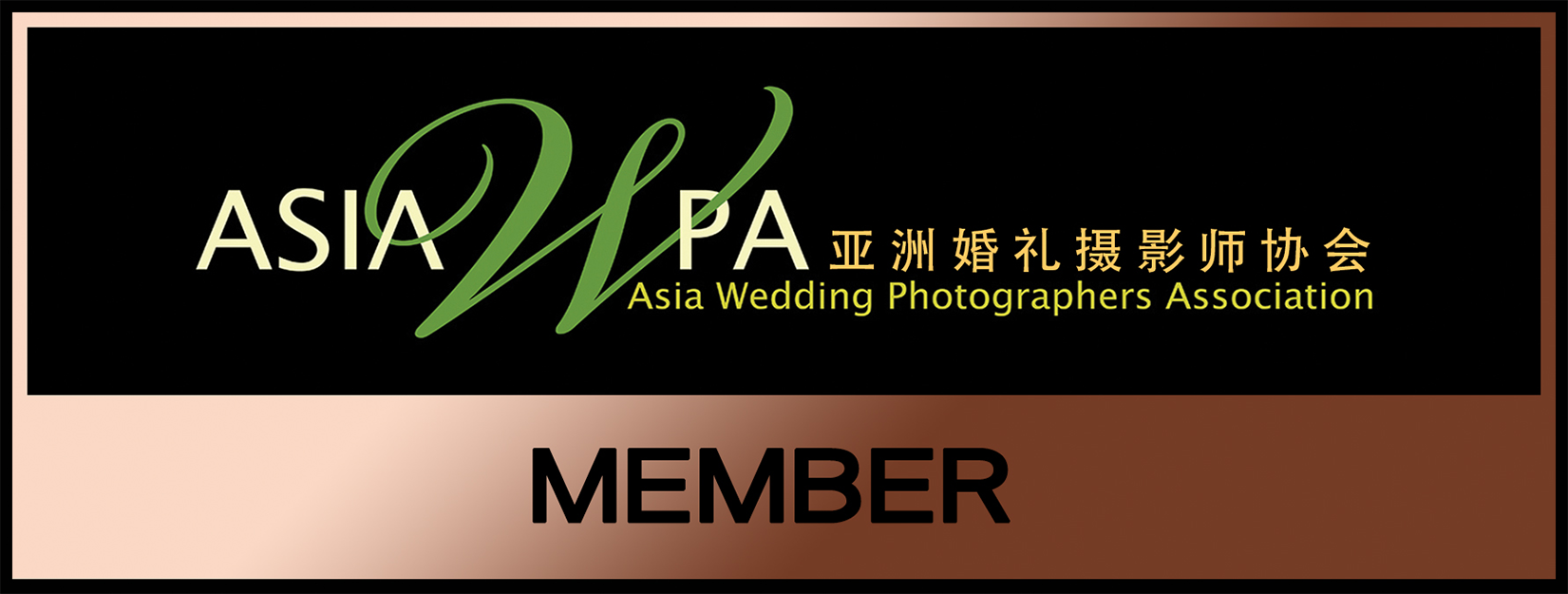 The Wedding Filmer - Sony Logo